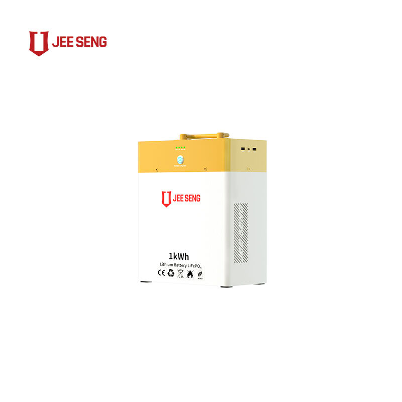 Nieuw ontwerp 1KWH Draagbare stroom energieopslag lithiumbatterie grote powerbank gemakkelijk te gebruiken